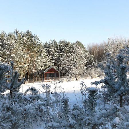 Domki Nad Zalewem W Jacni Adamow  Bagian luar foto